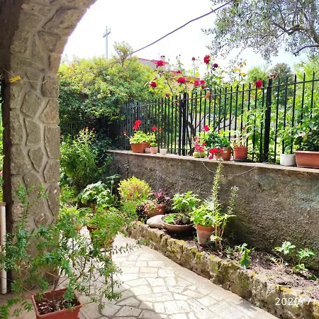 Around Rome * Marino